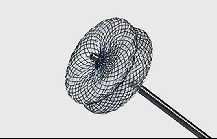 心脏间隔缺损尊龙凯龙时中国医疗封堵产品介绍